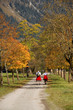 Feldweg im Herbst