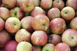 Foto: Äpfel Äpfel