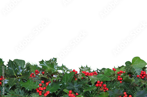 Photo: Holly and Ivy footer Holly and Ivy footer