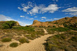 Desert trail 1