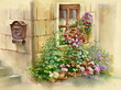 Flowers on the window