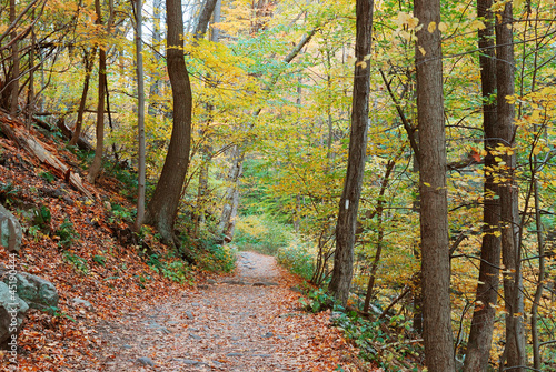 Photo: hiking trail hiking trail