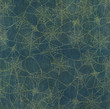 Photo: Halloween Spider Web Background Halloween Spider Web Background