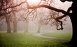 Photo: Autumn in park Autumn in park