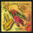 coriander