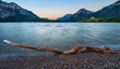 Waterton Lakes Log