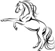 Vector Illustration of rearing horse black and white