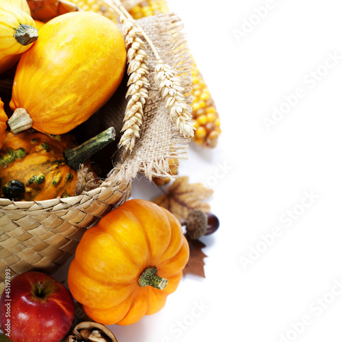 Photo: Harvest time, pumpkins Harvest time, pumpkins