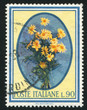 Daisies