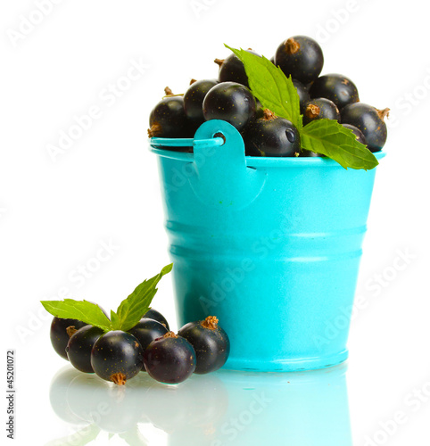 Photo: blueberris in bucket with mint isolated on white blueberris in bucket with mint isolated on white