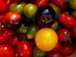 Tomatenvielfalt 3