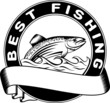 best fishing