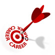 Career Target