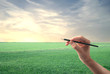 Photo: Painting Painting
