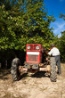 Senior farmer and his tractor