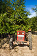 Photo: Senior farmer and his tractor Senior farmer and his tractor