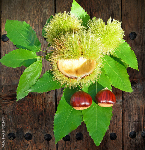 Photo: chestnuts leaves and old planks chestnuts leaves and old planks