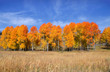 Grand tetons national park