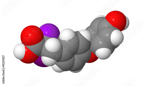 Illustration: Triiodothyronine (T3) CPK spacefill molecular model Triiodothyronine (T3) CPK spacefill molecular model