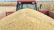 Tractor trailer with soy bean