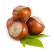 Photo: Hazelnuts Hazelnuts