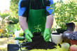 Garten 8