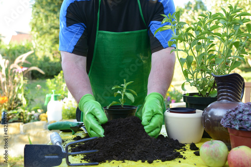 Photo: Garten 8 Garten 8