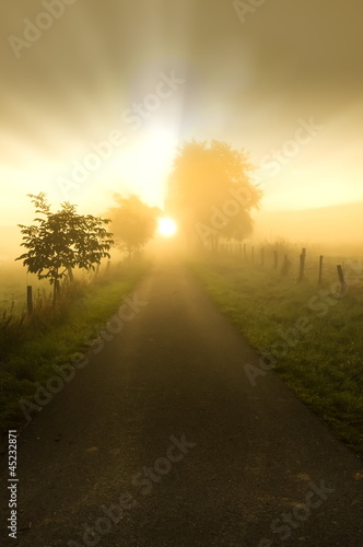 Photo: Herbstnebel Herbstnebel