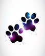 abstract bright paw prints