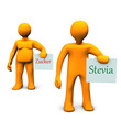 Stevia Zucker