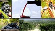 land of wine