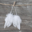 Angel wings
