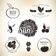 Agriculture, wine and food design elements