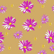 Asters