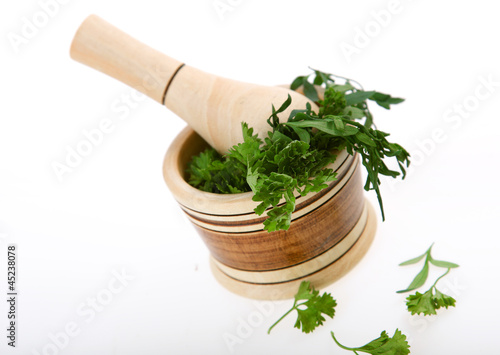 Photo: Cilantro Cilantro