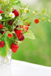 Photo: Bouquet of strawberries Bouquet of strawberries