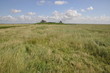 Hamburger Hallig