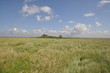 Hamburger Hallig