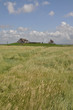 Hamburger Hallig