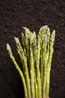 Organic Asparagus Cluster