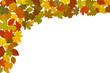 Coin automne