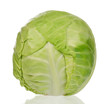 Fresh cabbage