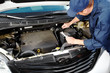 Professional auto mechanic.
