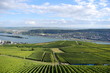 rives du rhin 
