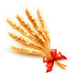 Ears of wheat with red bow. Vector.