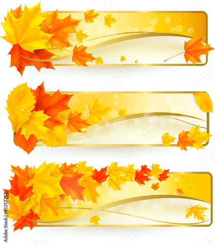 Vector: Three autumn banners with colorful leaves Three autumn banners with colorful leaves