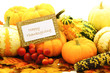 Photo: Happy Thanksgiving card among a group of pumpkins and gourds Happy Thanksgiving card among a group of pumpkins and gourds