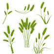 Wheat icons