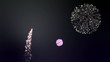 VID - fireworks animation (I)
