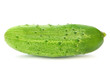 Cucumber on white